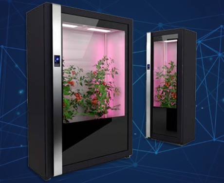 Agro Tech Farm — проект по созданию шкафов для искусственного выращивания растений